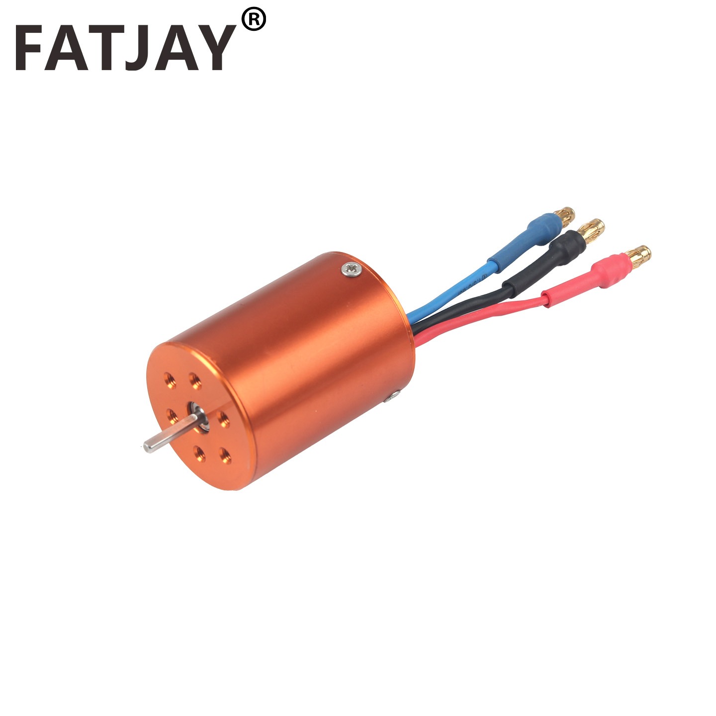 FATJAY 2838-2800KV 3800KV RC H - Rc Hobby Grade 리뷰 및 가격